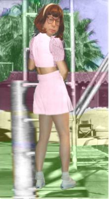 shirley skirt
Keywords: bobby socks saddle shoes poodle skirt